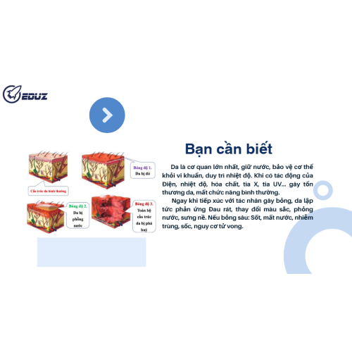 1. Bạn cần biết